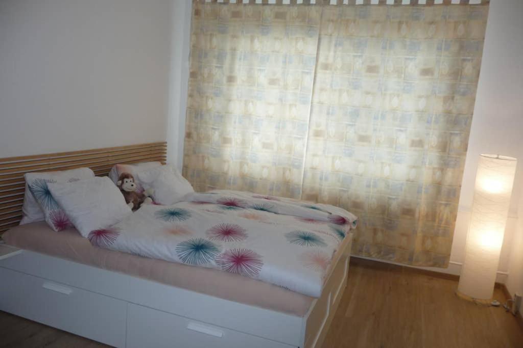 Apartman Q11 Sokolov Exterior foto